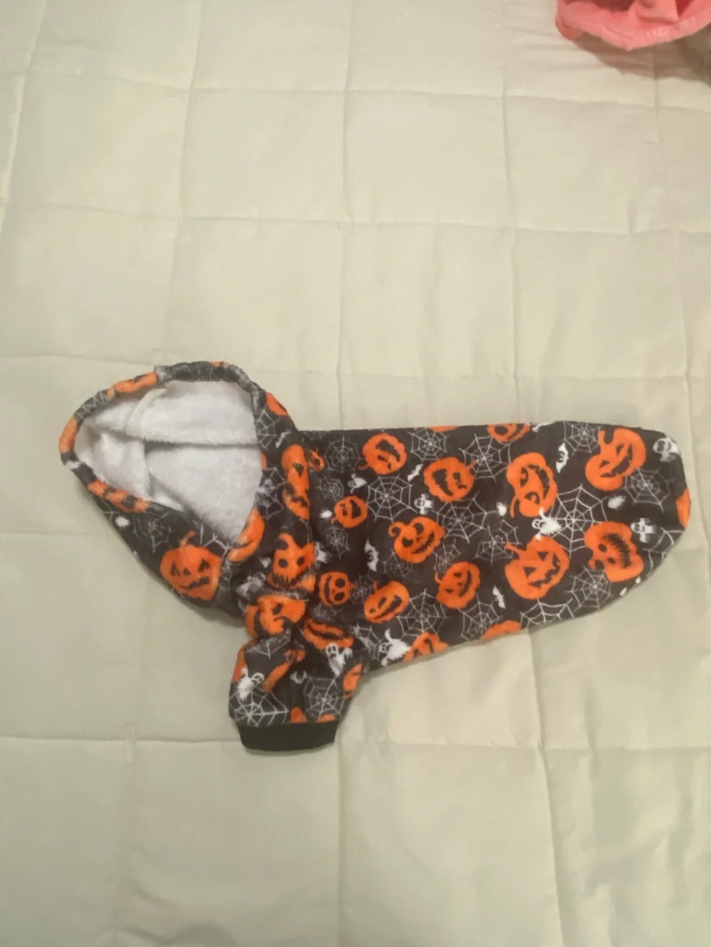 Cat Clothes & Toys!!